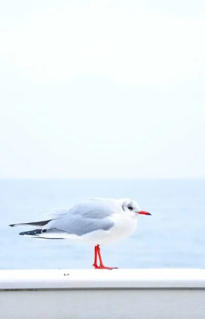 Відгук від Марія, Одеса — Реферат з філософії