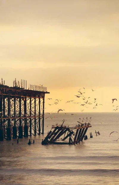 Відгук від Катерина, Дніпро — Звіт з практики