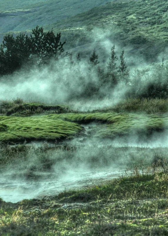 FastStudy — Выбор страны 2024 — Торгово-промышленная палата Украины