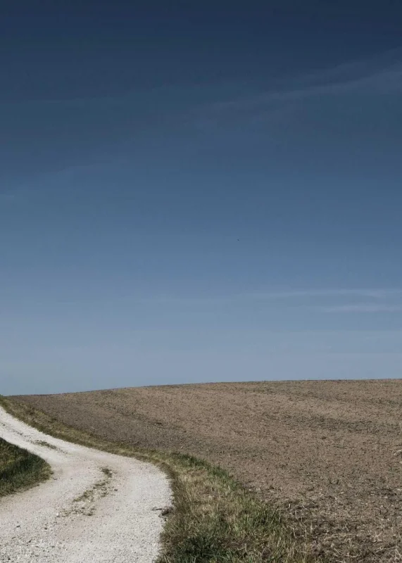 FastStudy — лидер по отзывам — Ukrainian Business Award