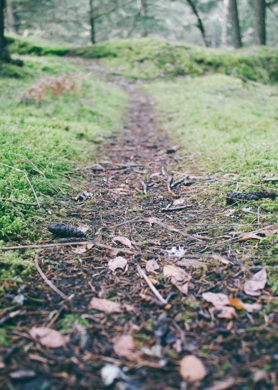 Сертификат ISO 9001:2015 — International Organization for Standardization