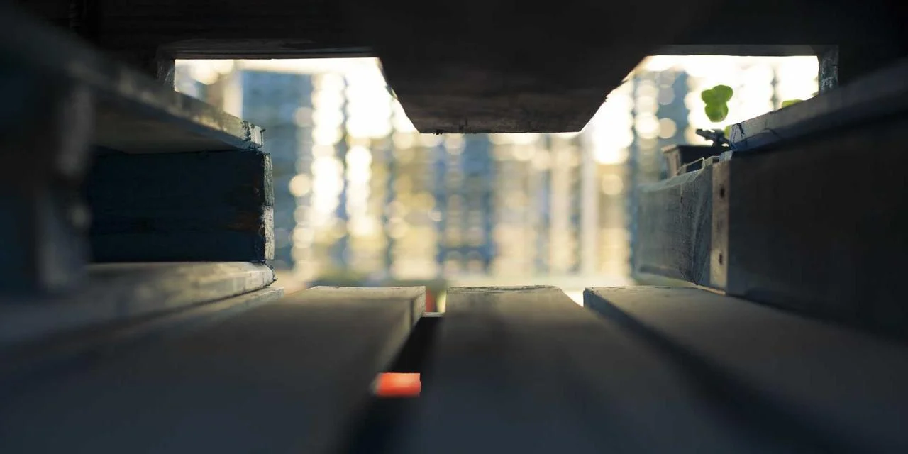 Як написати курсову роботу: покроковий план